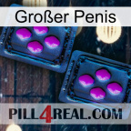 Großer Penis 03